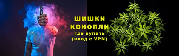 спиды Ладушкин